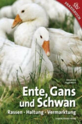 Ente, Gans und Schwan - Alexandra Vogel-Reich (2015)