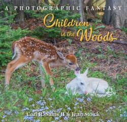 Children in the Woods (ISBN: 9780998983608)
