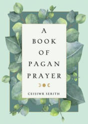 A Book of Pagan Prayer (ISBN: 9781578636495)