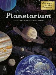 Planetarium - Raman Prinja (ISBN: 9781787411579)