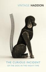 The Curious Incident of the Dog in the Night-time (ISBN: 9781784707637)