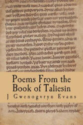 POEMS FROM THE BK OF TALIESIN - J. Gwenogvryn Evans (ISBN: 9781906834234)