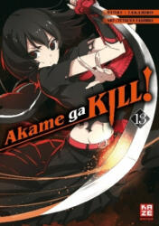 Akame ga KILL! 13 - Takahiro, Tetsuya Tashiro, Antje Bockel (ISBN: 9782889216734)