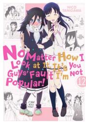 No Matter How I Look at It, It's You Guys' Fault I'm Not Popular! , Vol. 12 - Nico Tanigawa (ISBN: 9781975328177)