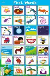 Children's Poster - First Words (ISBN: 9780008304706)