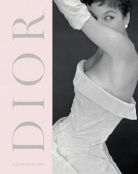 Dior: A New Look a New Enterprise (ISBN: 9781851779857)
