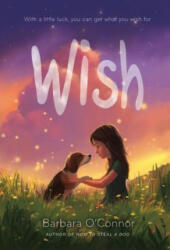 Wish (ISBN: 9781250144058)