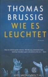 Wie es leuchtet - Thomas Brussig (2006)