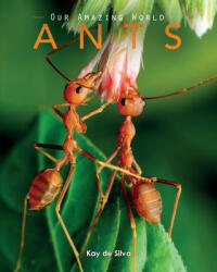 Ants: Amazing Pictures & Fun Facts on Animals in Nature (ISBN: 9780994600943)