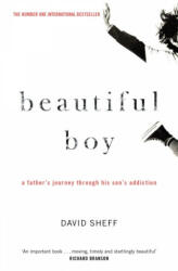Beautiful Boy - David Sheff (ISBN: 9781471177934)