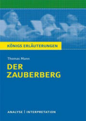 Thomas Mann 'Der Zauberberg' - Thomas Mann (2011)