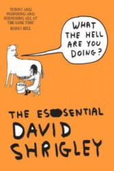 What The Hell Are You Doing? : The Essential David Shrigley - David Shrigley (2012)