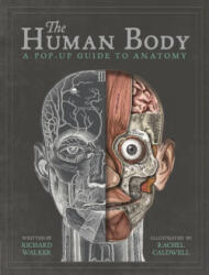 The Human Body - Richard Walker (ISBN: 9781787410589)