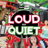 Loud and Quiet (ISBN: 9781786374202)