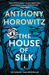 House of Silk - Anthony Horowitz (ISBN: 9781409182771)