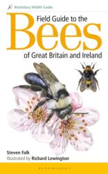 Field Guide to the Bees of Great Britain and Ireland (ISBN: 9781472967053)