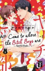 Come to where the Bitch Boys are 03 - Ogeretsu Tanaka, Monika Hammond (ISBN: 9783770457052)