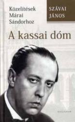 A kassai dóm (2008)