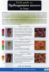Field Guide to Sphagnum Mosses in Bogs (ISBN: 9781851532766)
