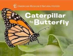 Caterpillar to Butterfly (ISBN: 9781454914068)