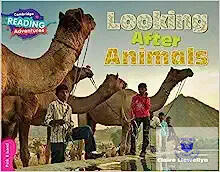 Looking After Animals Pink B Band (ISBN: 9781316605820)