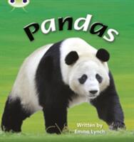 Bug Club Phonics Non-fiction Set 09 Pandas (ISBN: 9781408260494)