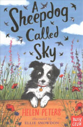 Sheepdog Called Sky (ISBN: 9780857639110)