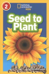 Seed to Plant - Kristin Baird Rattini (ISBN: 9780008266608)