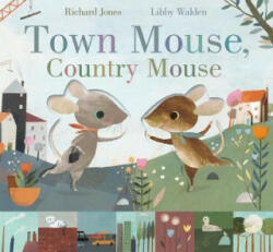 Town Mouse, Country Mouse - Libby Walden (ISBN: 9781848576568)