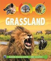 Life Cycles: Grassland (ISBN: 9780753442791)
