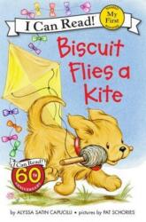 Biscuit Flies a Kite - Alyssa Satin Capucilli, Pat Schories (ISBN: 9780062237002)