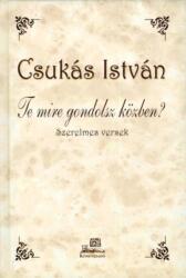 Te mire gondolsz közben? - Szerelmes versek (2008)