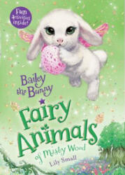 BAILEY THE BUNNY - Lily Small (ISBN: 9781250127044)