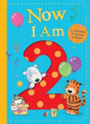 Now I Am 2 (ISBN: 9781848699311)