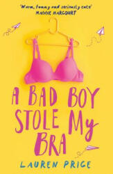 A Bad Boy Stole My Bra (ISBN: 9781785301780)