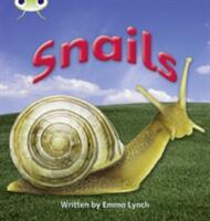 Bug Club Phonics Non Fiction Year 1 Phase 4 Set 12 Snails (ISBN: 9781408260753)