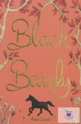 Black Beauty (ISBN: 9781840227871)