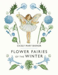 Flower Fairies of the Winter (ISBN: 9780241284568)