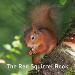 Red Squirrel Book - Jane Russ (ISBN: 9781912654178)