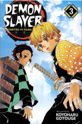 Demon Slayer: Kimetsu no Yaiba (ISBN: 9781974700547)