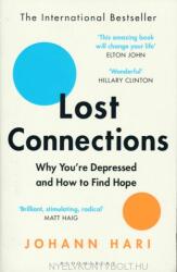 Lost Connections - Johann Hari (ISBN: 9781408878729)