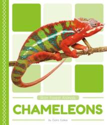 Chameleons (ISBN: 9781635178203)