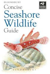 Concise Seashore Wildlife Guide - Bloomsbury (ISBN: 9781472968296)