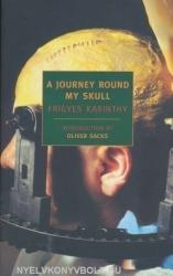 A Journey Round My Skull (2008)