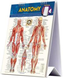 Anatomy - BarCharts Inc (ISBN: 9781423225836)