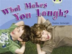 Bug Club Guided Non Fiction Year 1 Green A What Makes You Laugh? (ISBN: 9780433004479)