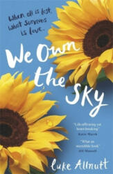 We Own The Sky - Luke Allnutt (ISBN: 9781409172284)