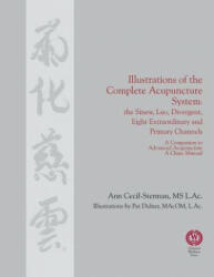 Illustrations of the Complete Acupuncture System - ANN CECIL-STERMAN (ISBN: 9780983772033)