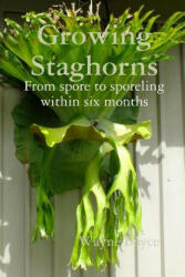 Growing Staghorns from Spore - Wayne Boyce (ISBN: 9781300939795)