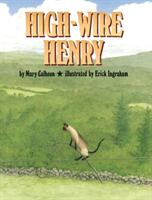 High-Wire Henry (ISBN: 9781635616972)